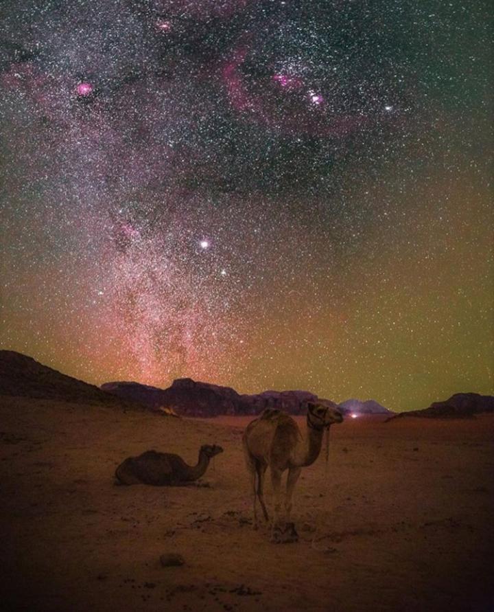Bubble Tent & Luxury Camp Wadi Rum Exterior foto